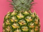 ananas