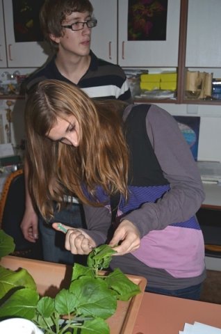 Den otevřených dveří 2011 v Ústavu experimentální botaniky AV ČR. Pracoviště Praha–Karlovka. Foto Michal Procházka, Gymnázium V. B. Třebízského, Slaný.